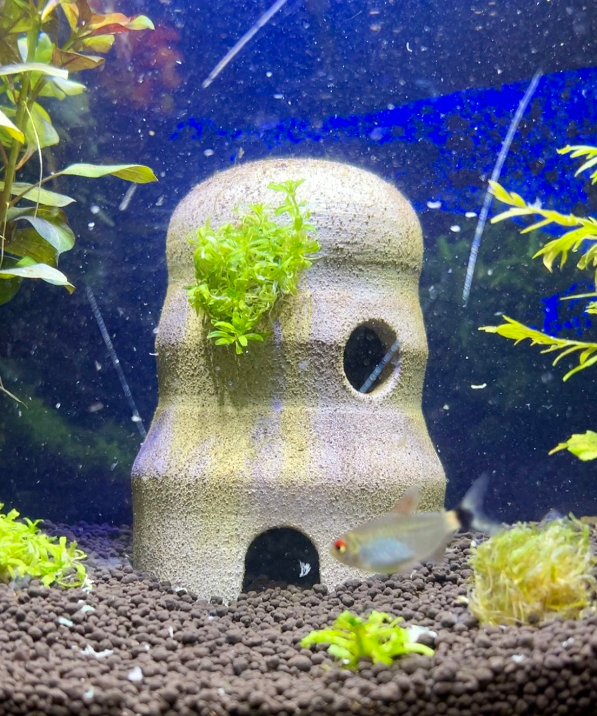 Handmade Ceramic Aquarium Decor