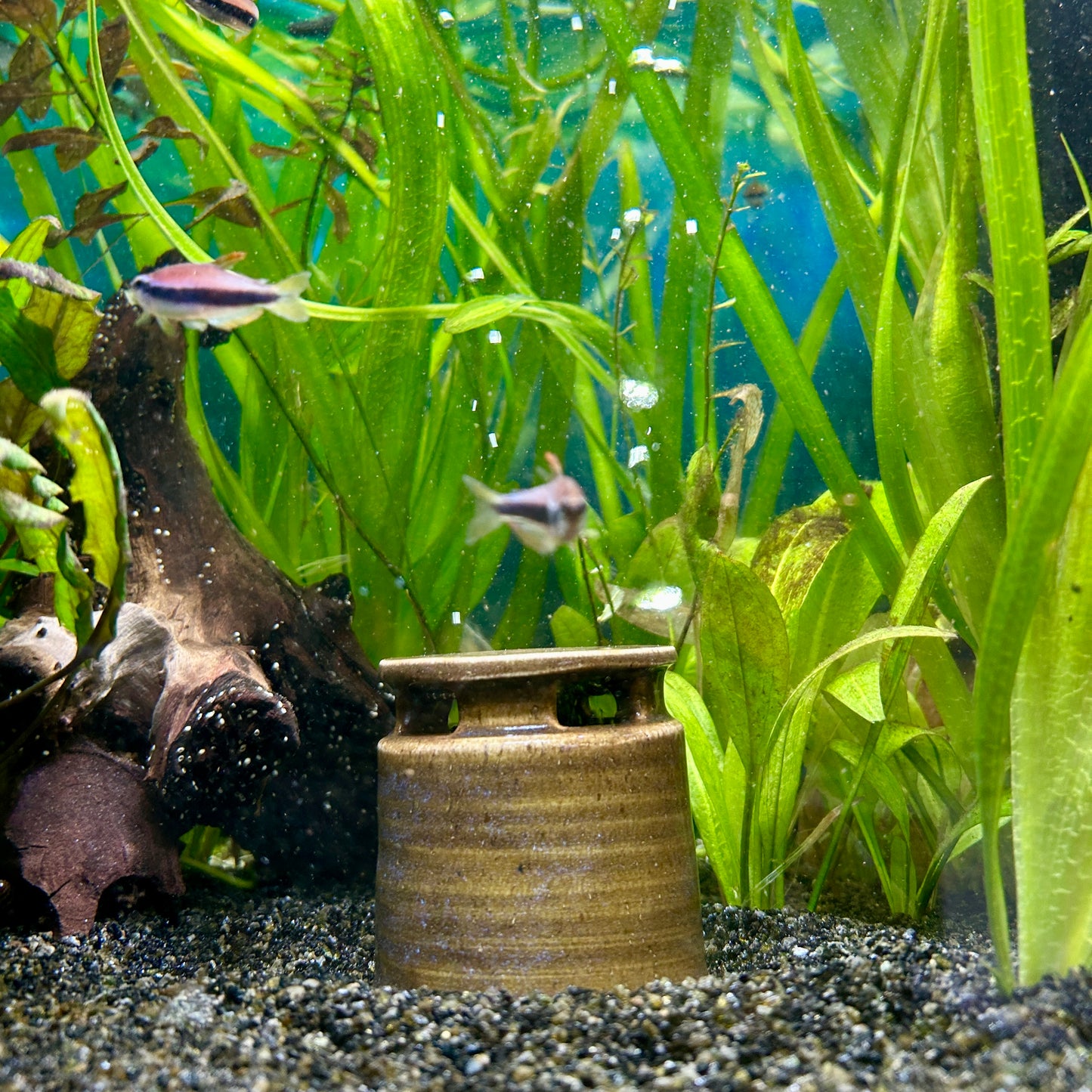 Aquarium bubble tower - low, dark brown